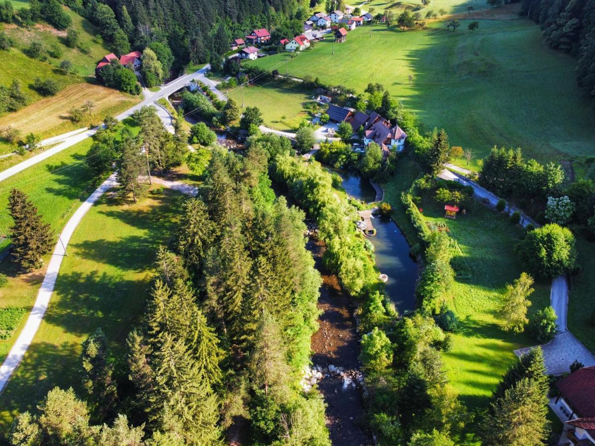 Apartments Povh Ljubno エクステリア 写真