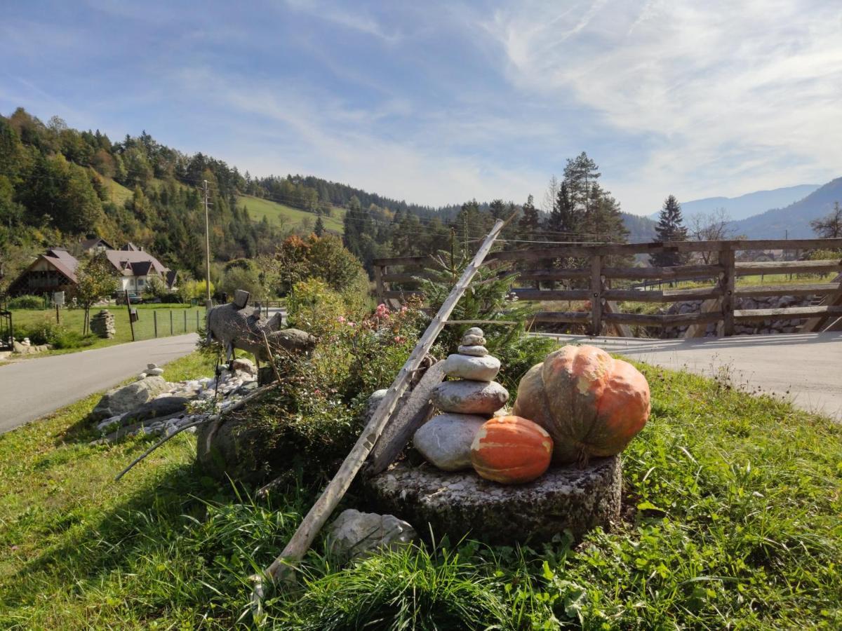 Apartments Povh Ljubno エクステリア 写真